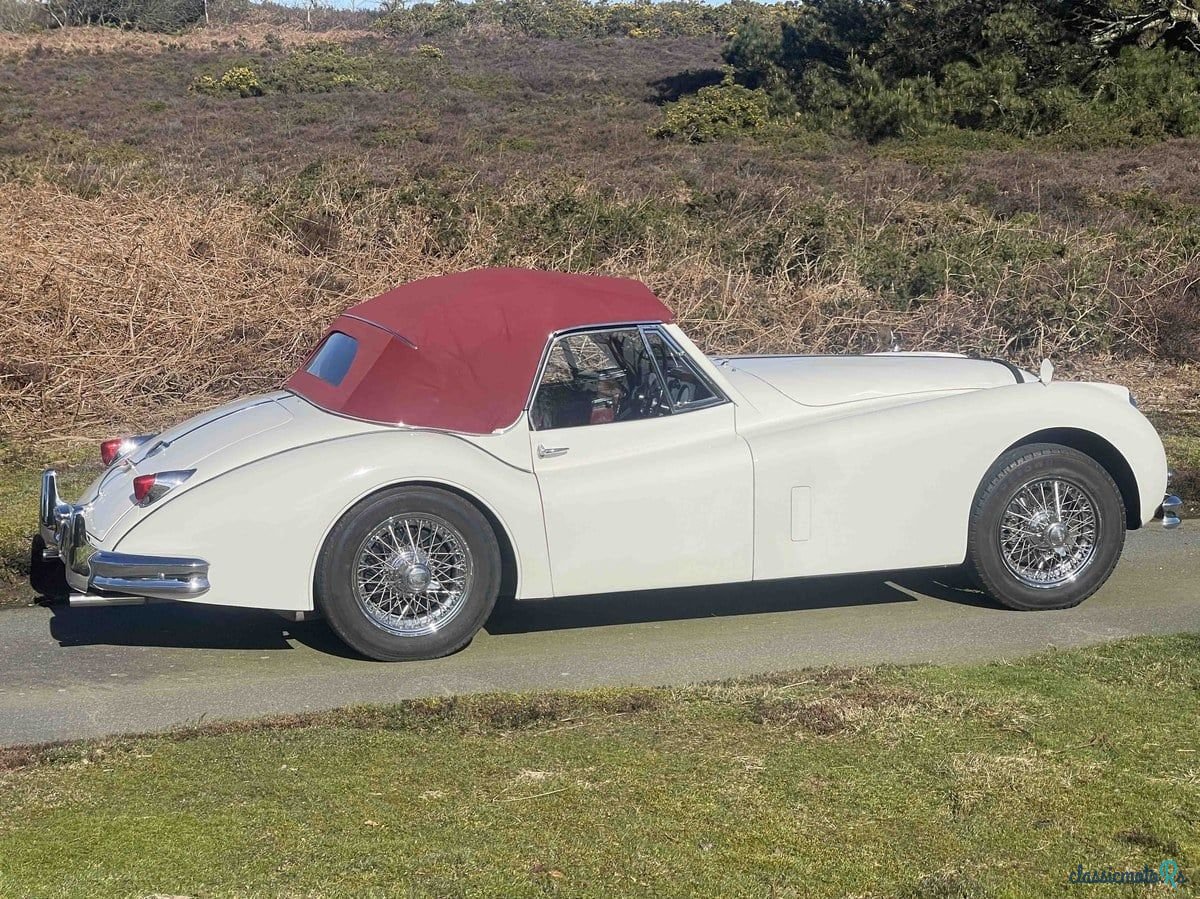 1955' Jaguar Xk140 photo #3