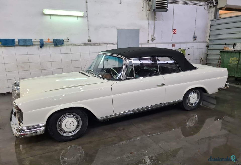 1964' Mercedes-Benz W111 photo #3