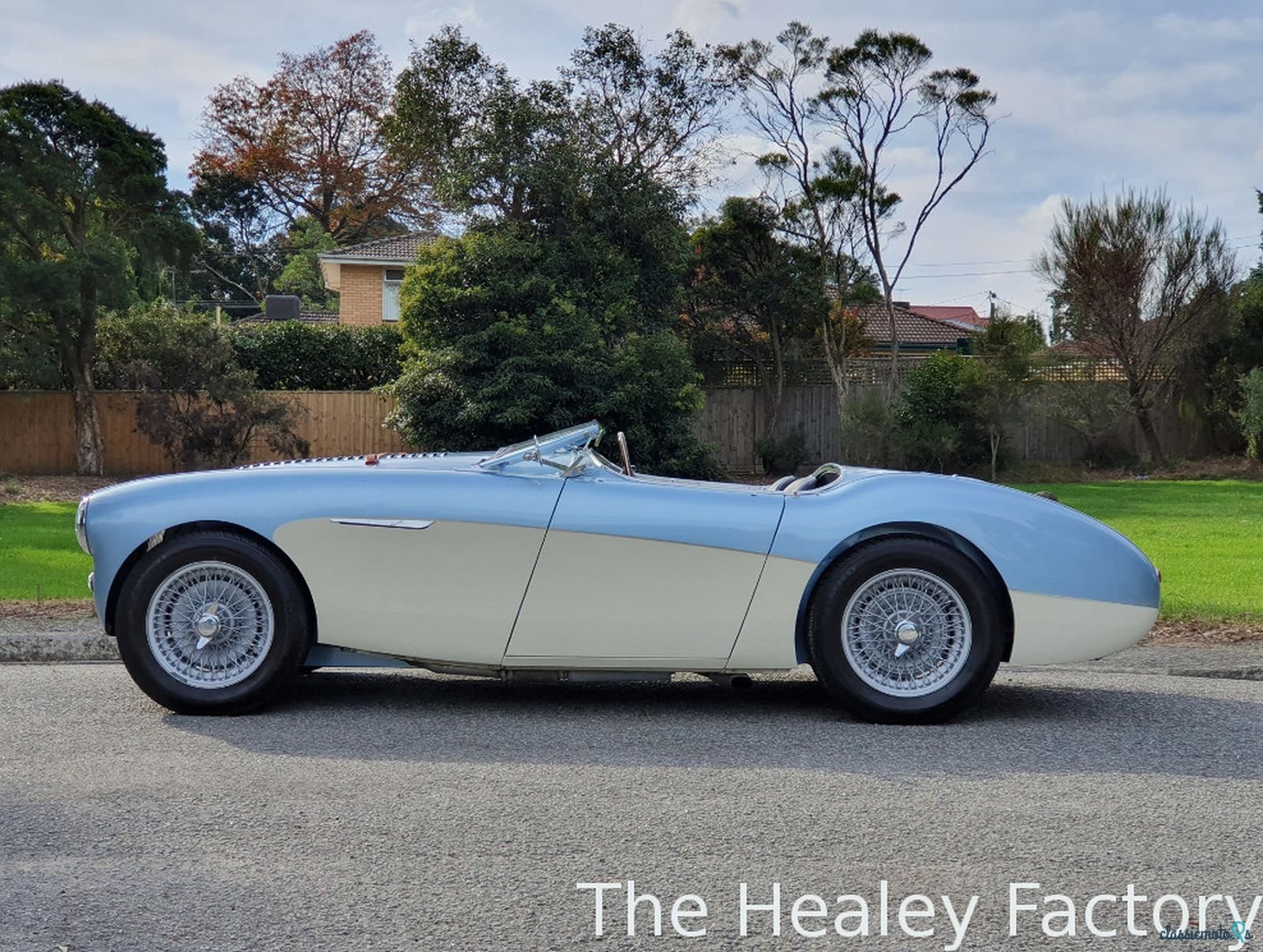 1956' Austin-Healey 100M photo #1