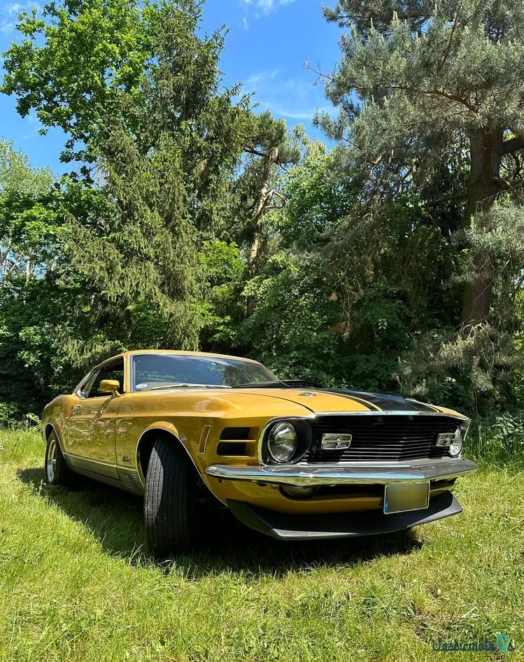 1970' Ford Mustang photo #4