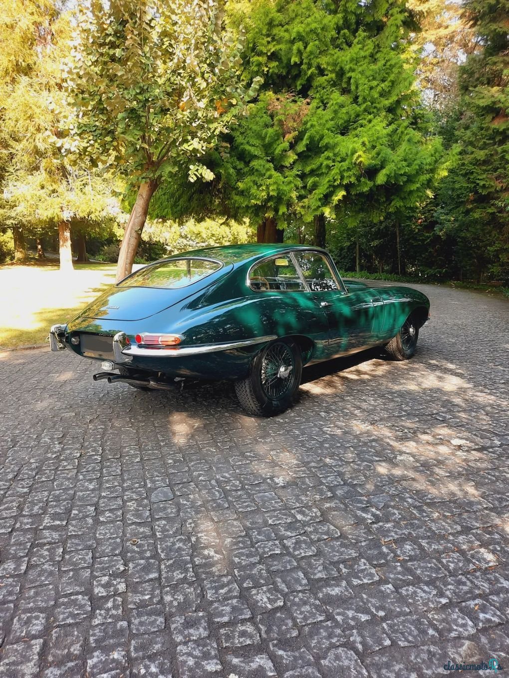 1964' Jaguar E-Type photo #3