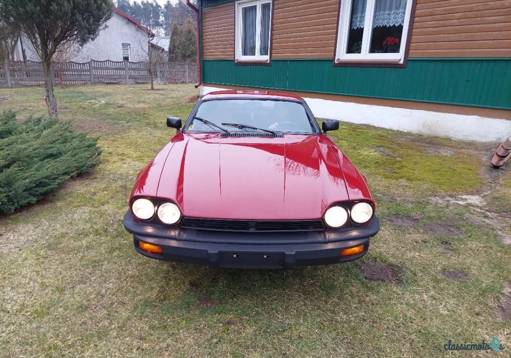 1977' Jaguar XJS photo #2