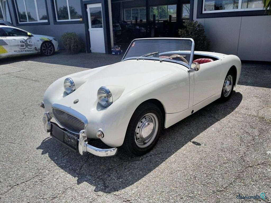 1967' Austin-Healey Sprite Mk 2 photo #3