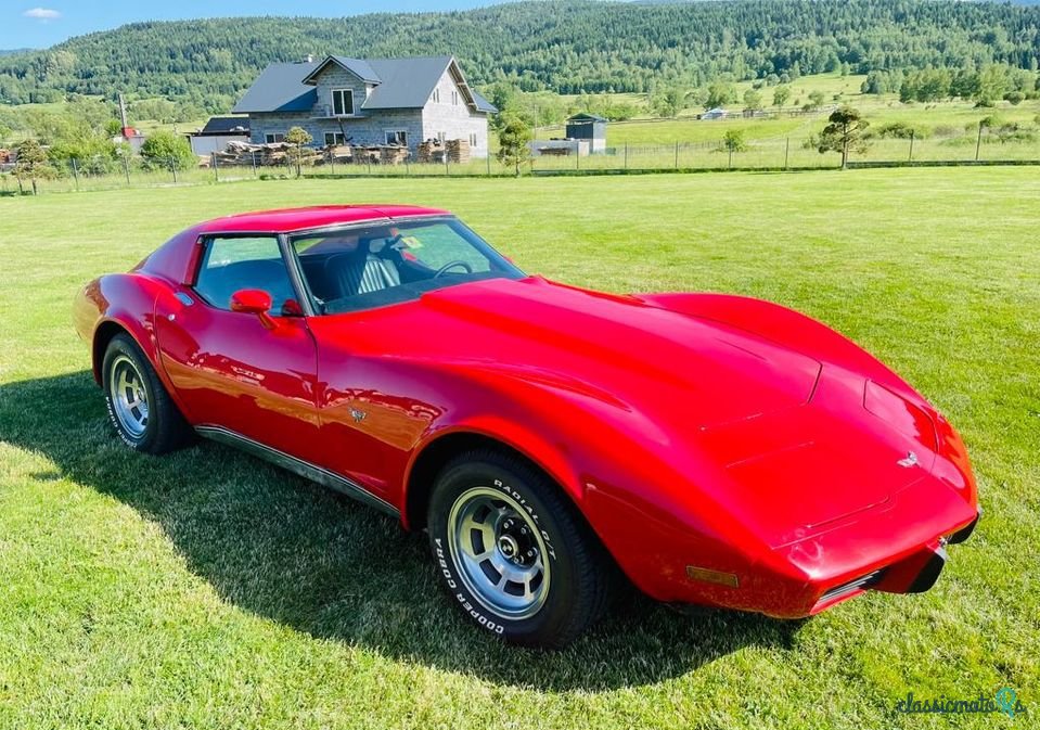 1977' Chevrolet Corvette photo #1