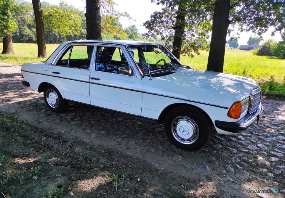 1979' Mercedes-Benz W123 photo #2