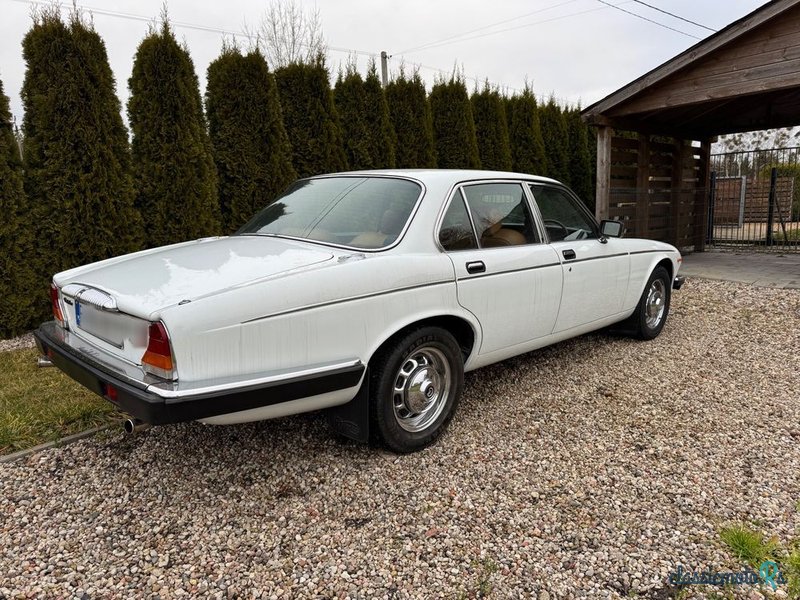 1980' Jaguar Daimler photo #4