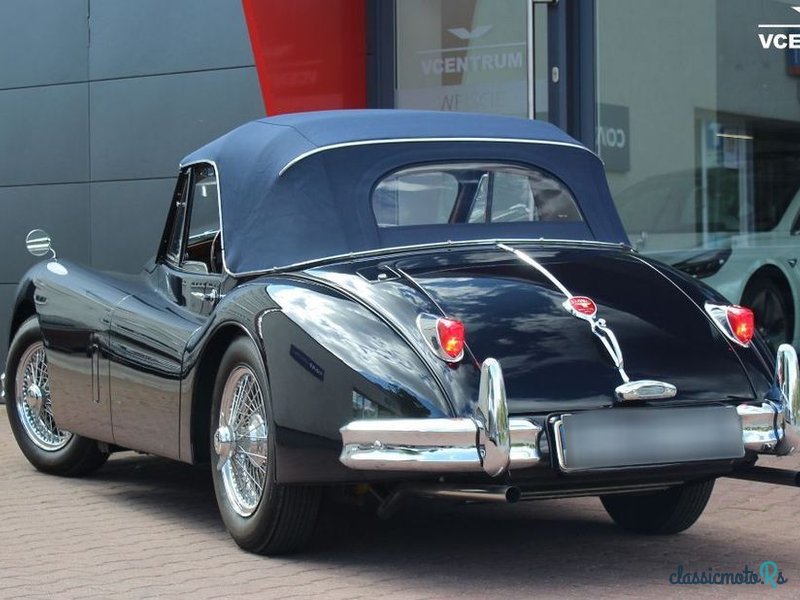 1956' Jaguar XK photo #4