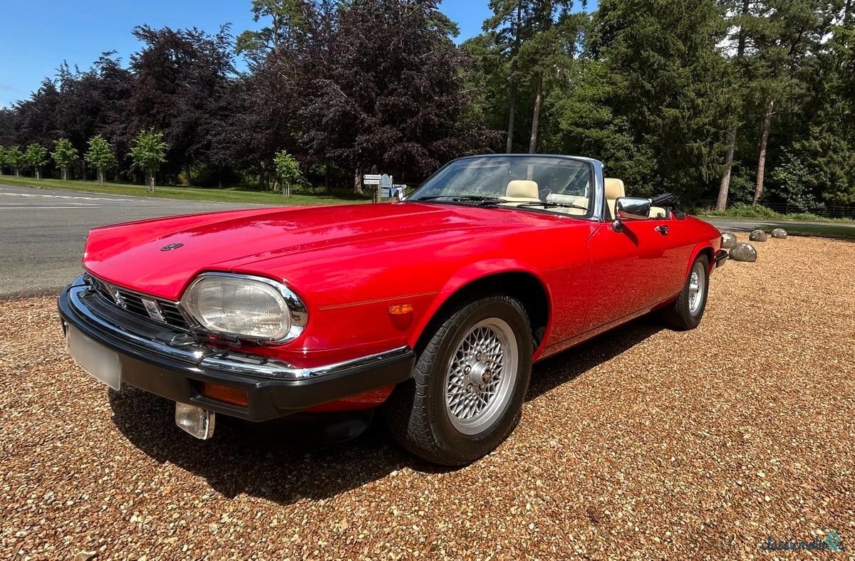 1989' Jaguar XJS photo #5