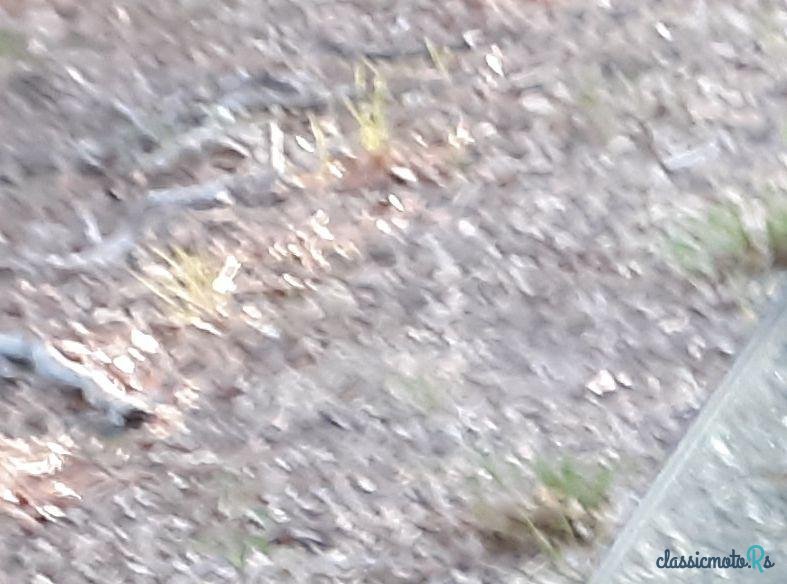 1965' Oldsmobile 88 photo #4