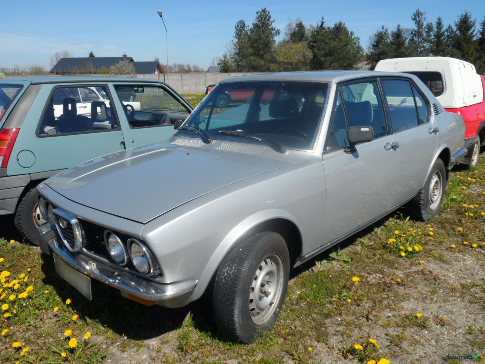 1977' Alfa Romeo Alfetta photo #2