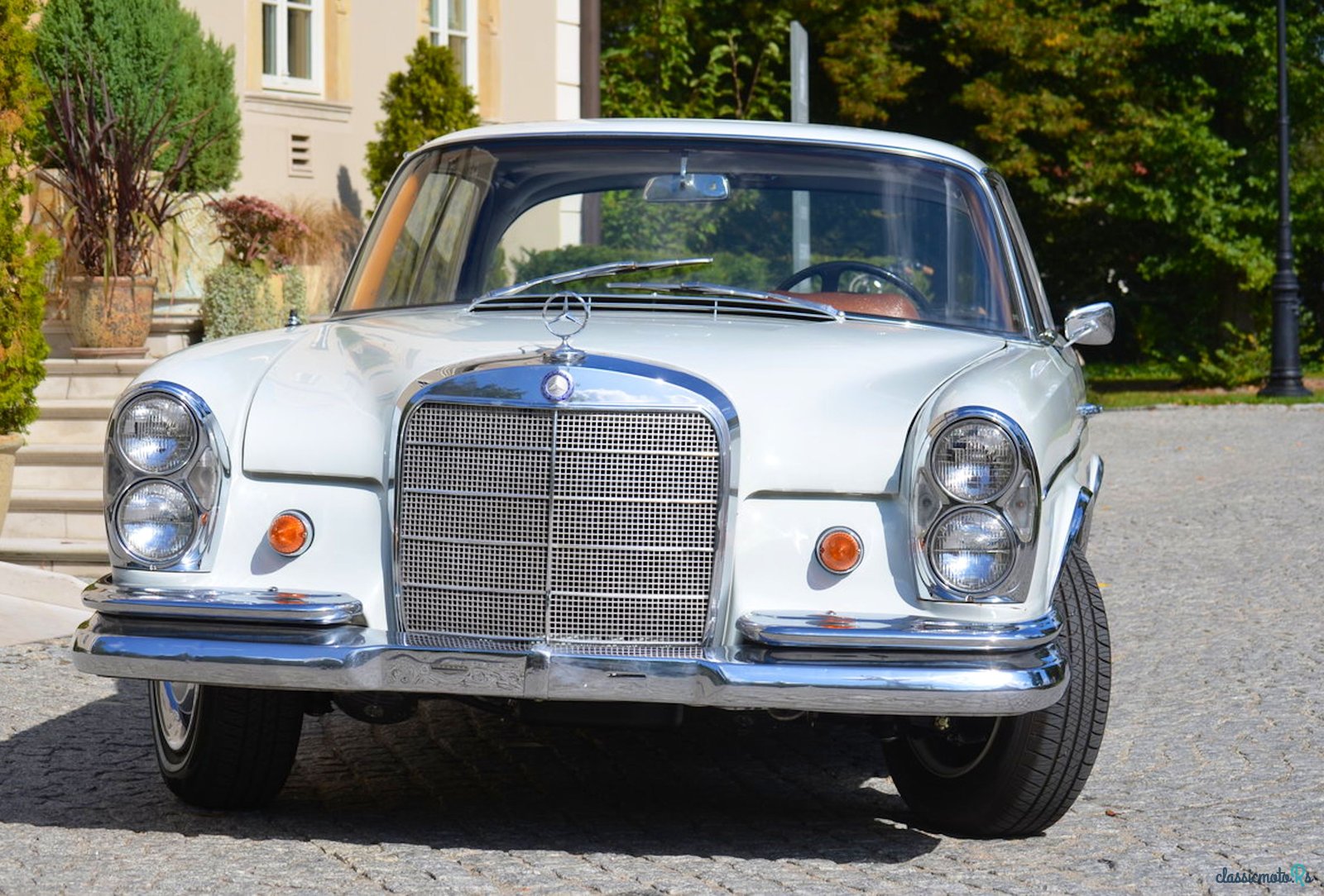 1967' Mercedes-Benz 250 photo #2