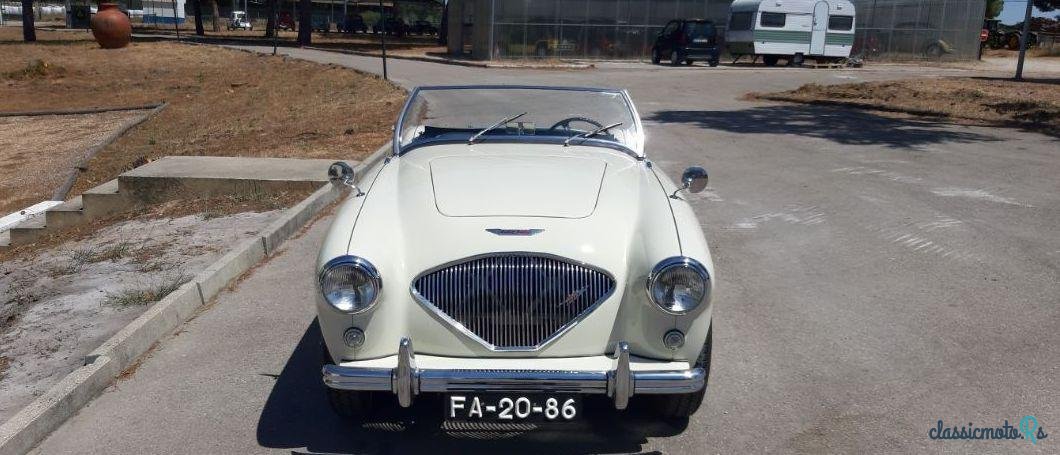 1953' Austin-Healey 3000 photo #2