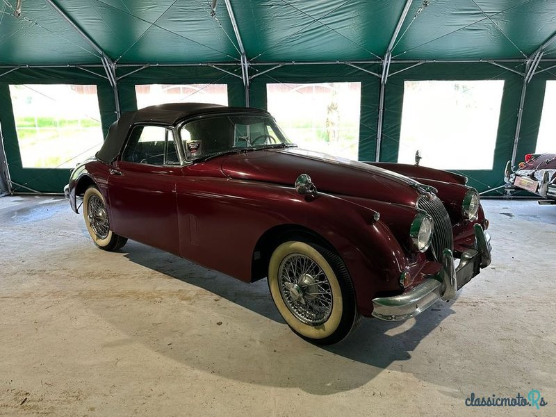1958' Jaguar XK photo #1