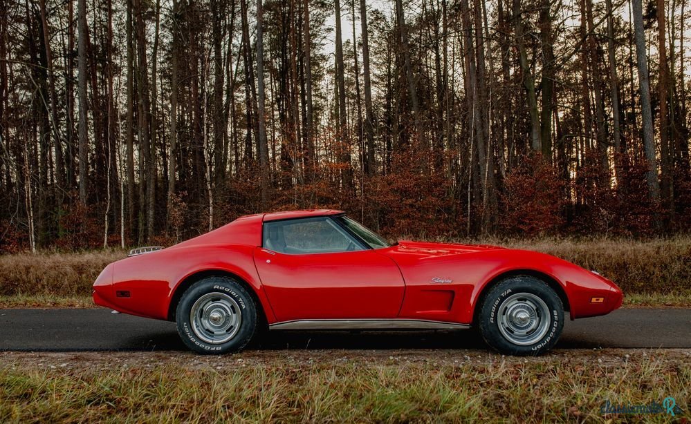1976' Chevrolet Corvette photo #6