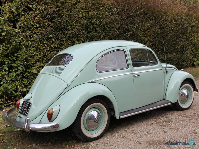 1954' Volkswagen Beetle Ovale photo #4
