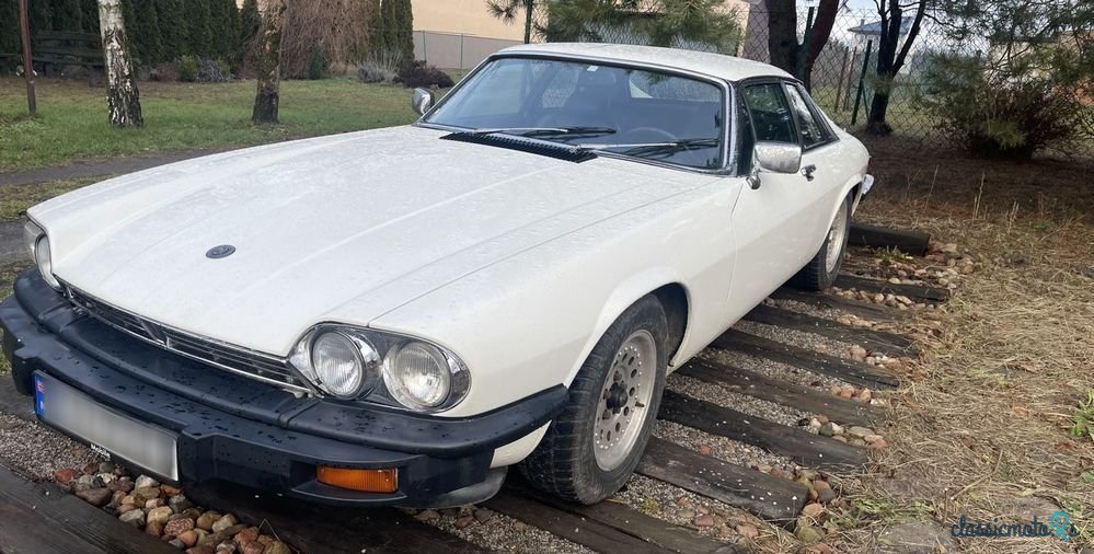 1979' Jaguar XJS photo #2