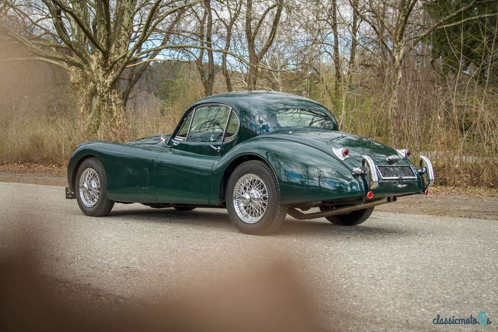 1954' Jaguar XK photo #6