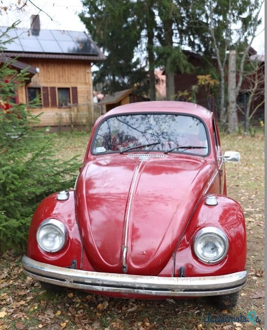 1968' Volkswagen Garbus photo #1