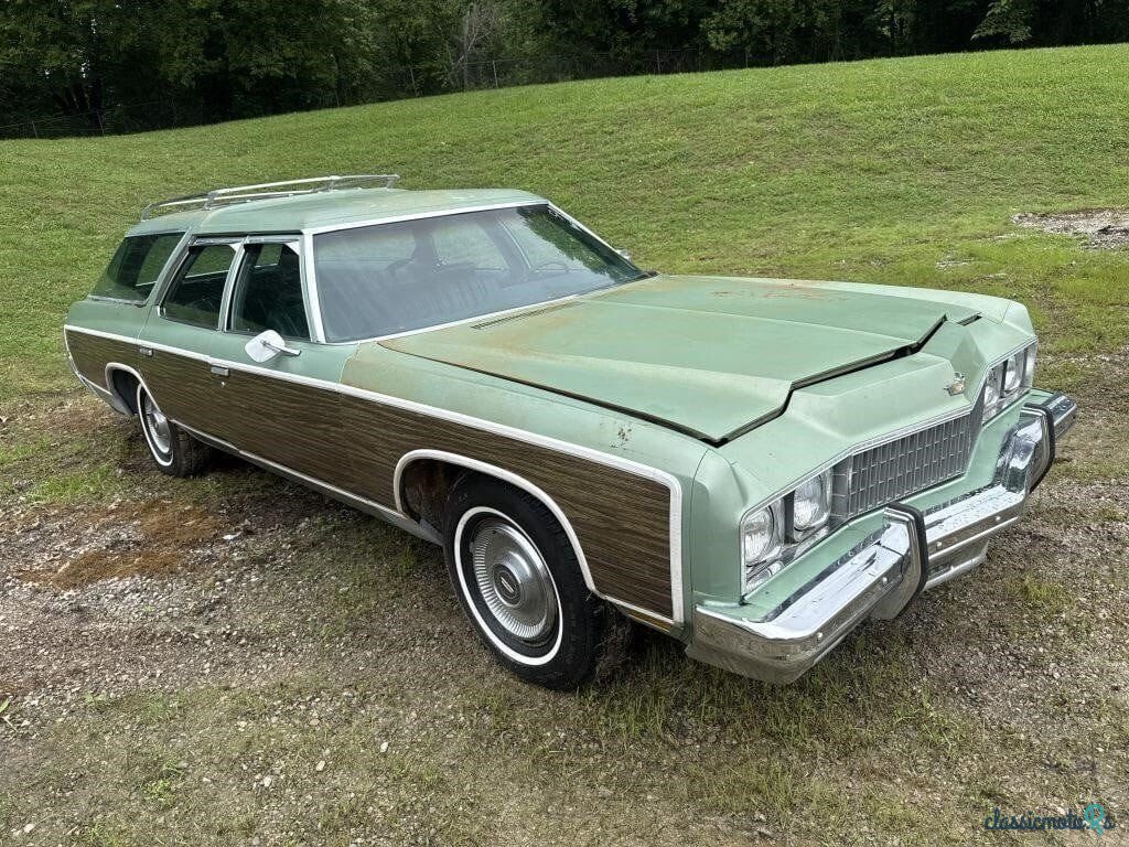 1973' Chevrolet Caprice photo #3