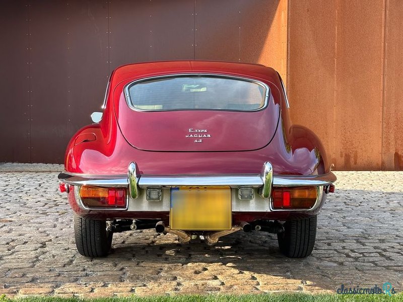 1969' Jaguar E-Type photo #5