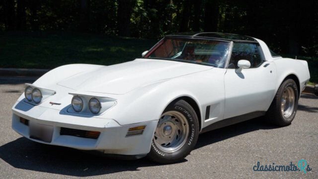 1981' Chevrolet Corvette photo #1