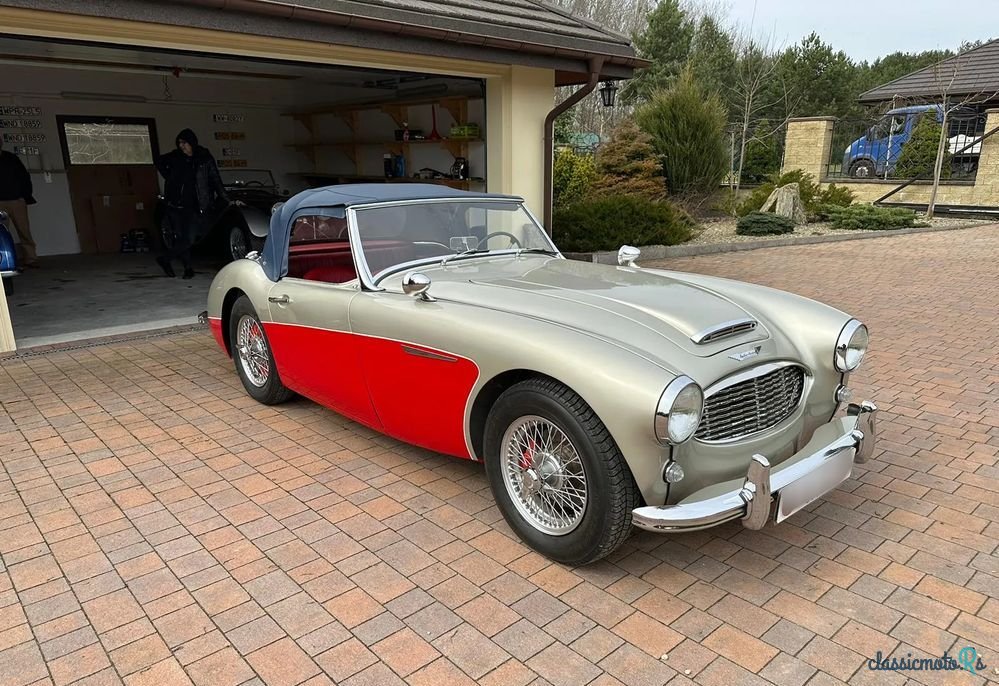 1960' Austin Healey photo #1