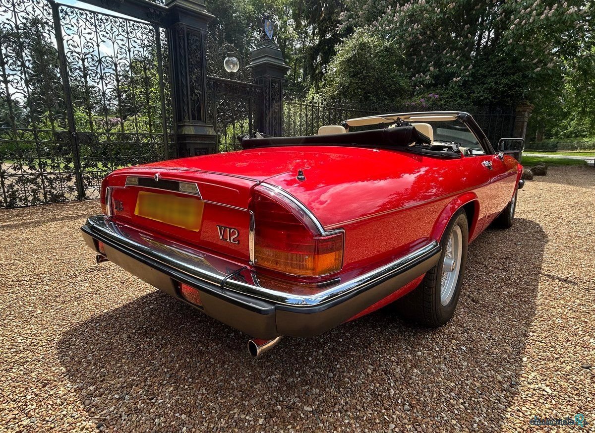 1989' Jaguar XJS photo #3