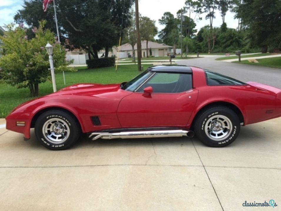 1981' Chevrolet Corvette photo #2