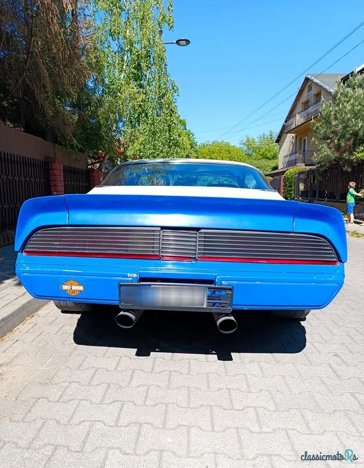 1979' Pontiac Firebird photo #5