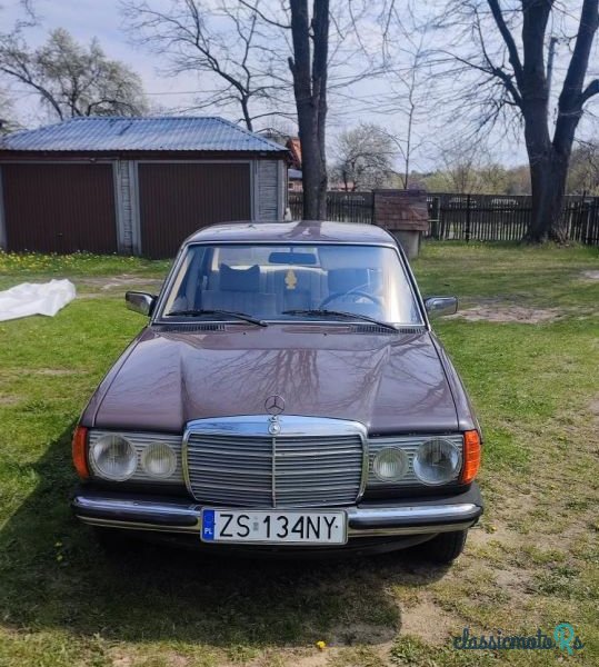 1978' Mercedes-Benz W123 photo #1