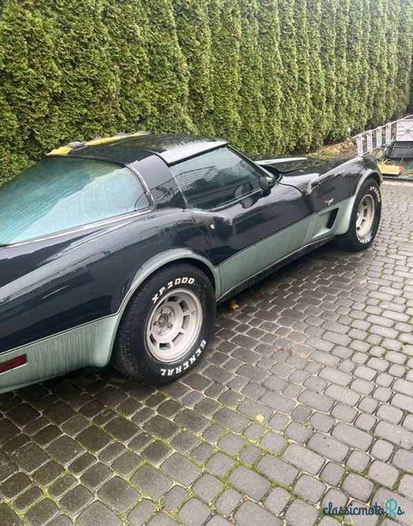 1979' Chevrolet Corvette photo #2