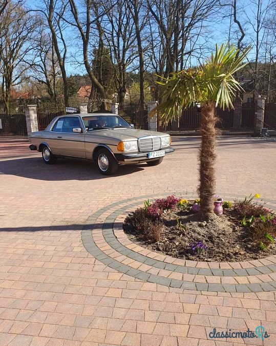 1979' Mercedes-Benz W123 photo #1