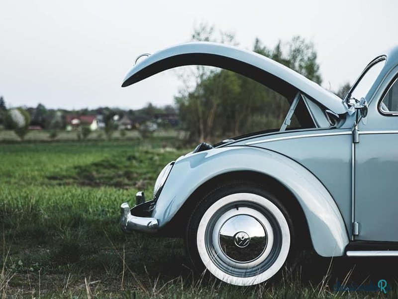 1956' Volkswagen Garbus photo #2