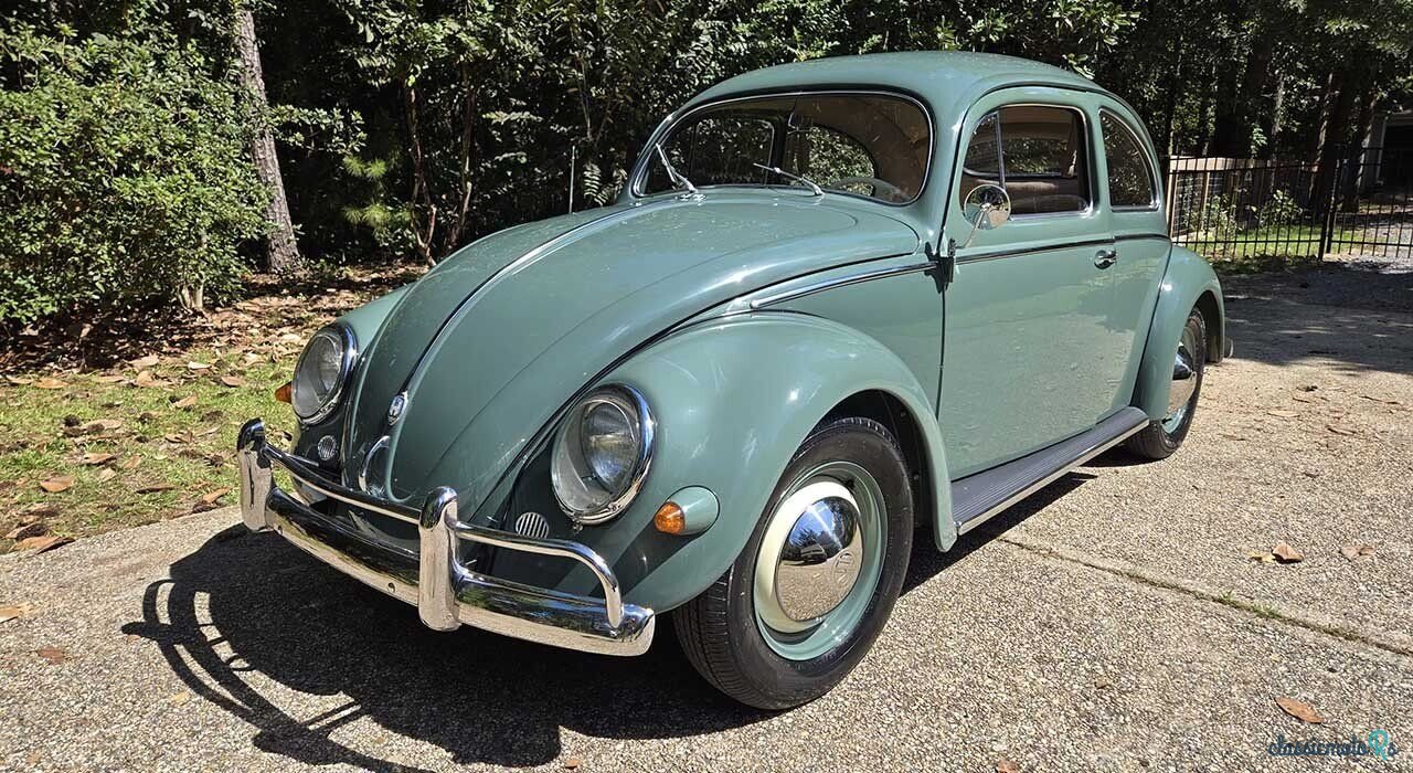 1956' Volkswagen Beetle photo #1
