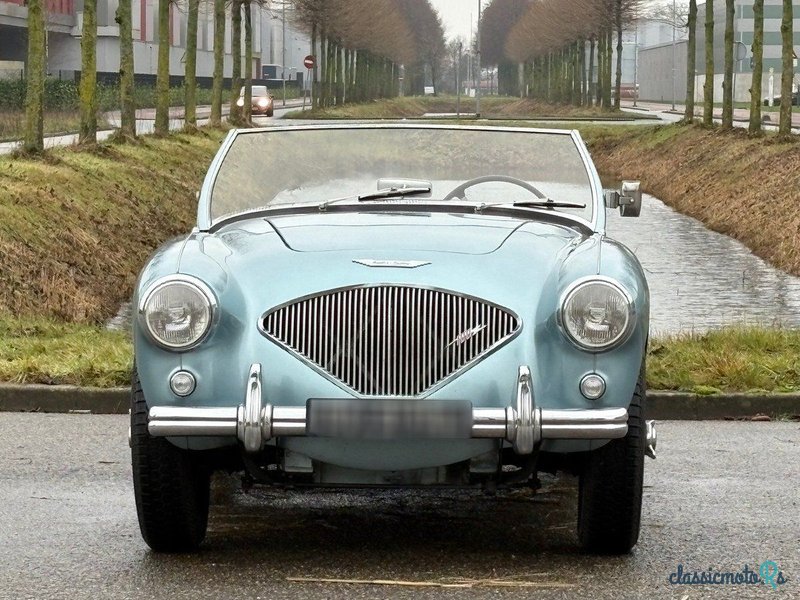 1954' Austin-Healey 100 photo #2