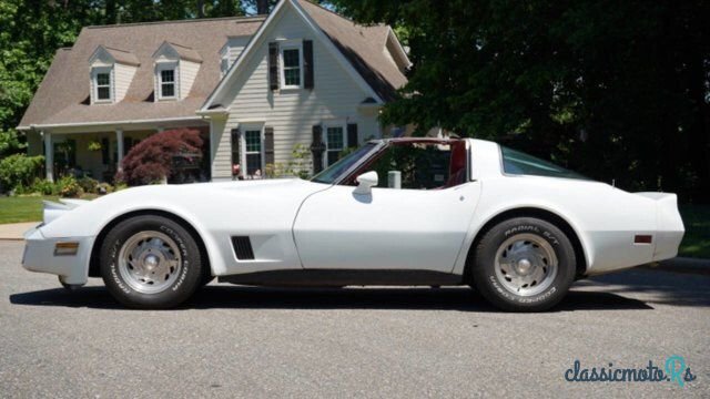 1981' Chevrolet Corvette photo #2