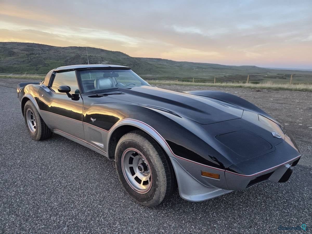 1978' Chevrolet Corvette photo #1