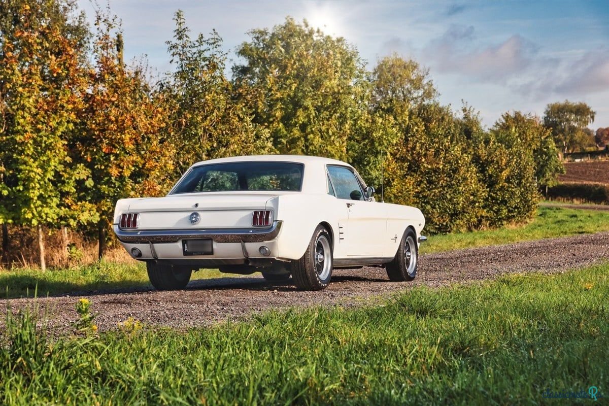 1966' Ford Mustang photo #2