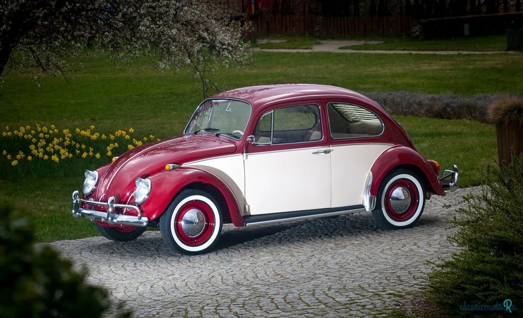 1964' Volkswagen Käfer photo #1