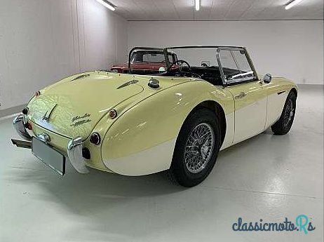 1959' Austin-Healey 3000 Mark I photo #5
