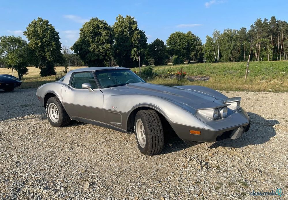 1978' Chevrolet Corvette photo #5