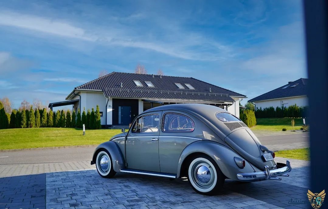 1956' Volkswagen Garbus photo #3