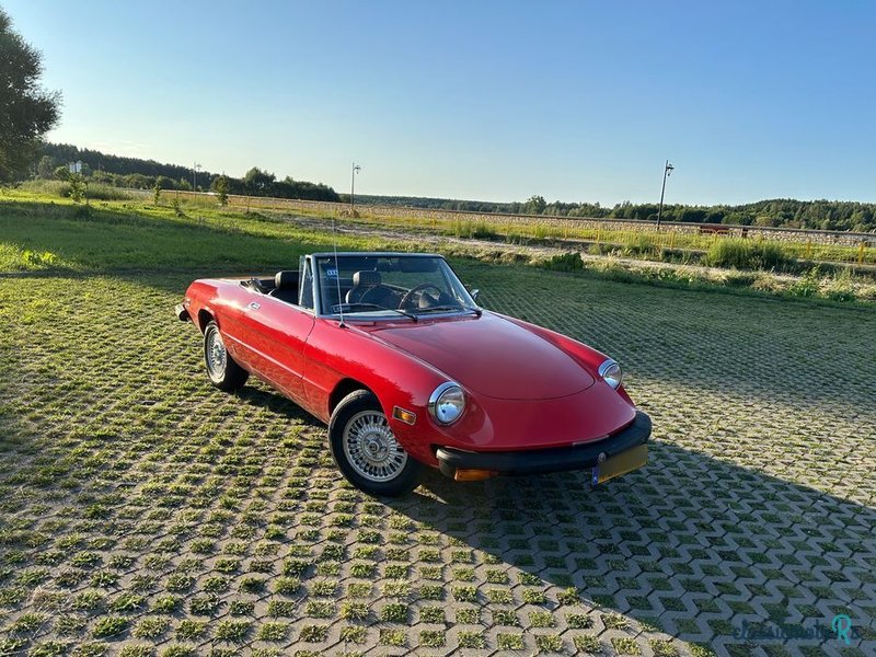 1974' Alfa Romeo Spider 2.0 photo #2