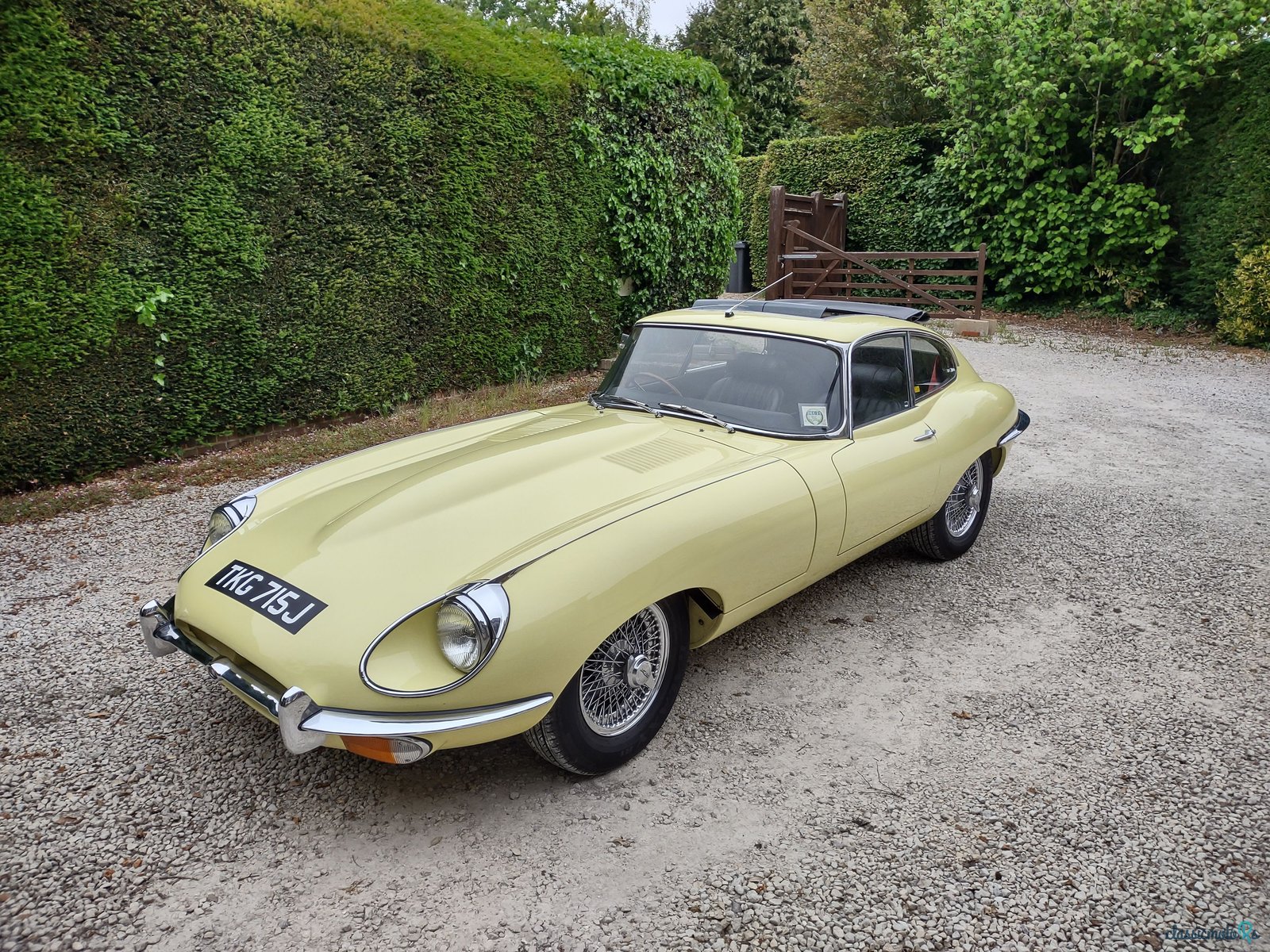 1970' Jaguar E-Type photo #1