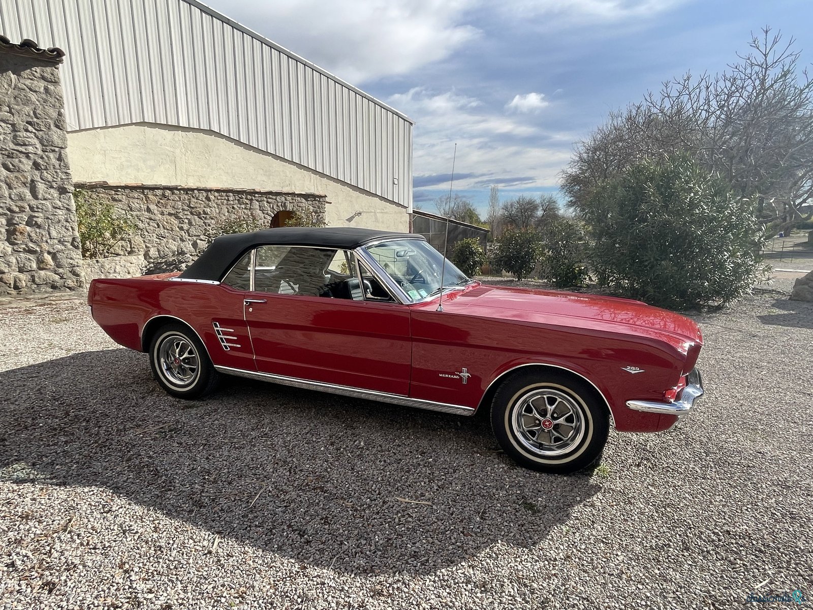 1966' Ford Mustang photo #1