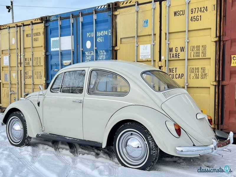 1964' Volkswagen Garbus photo #3