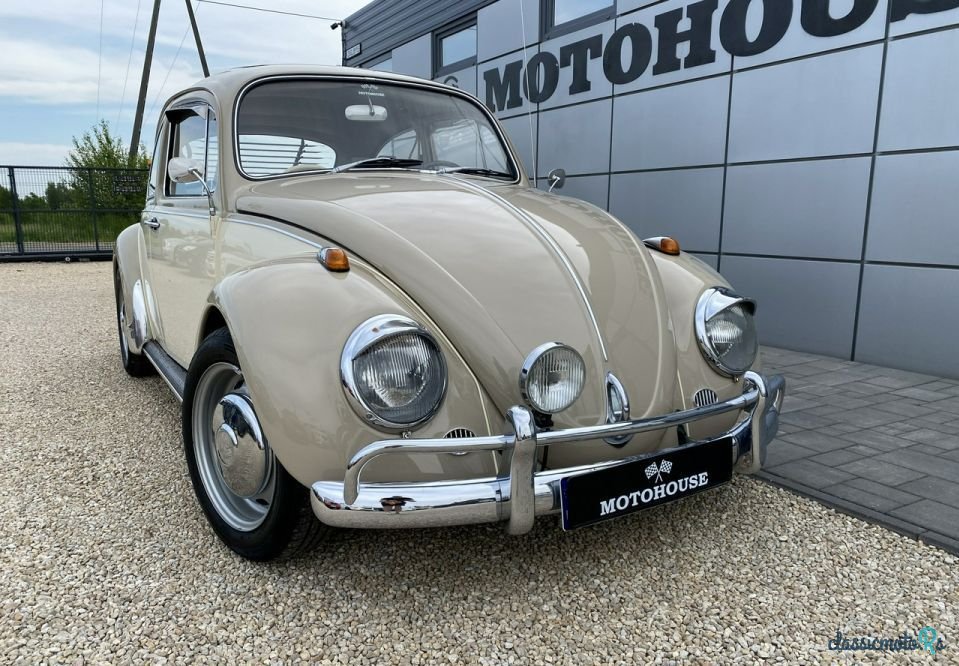 1967' Volkswagen Garbus photo #2