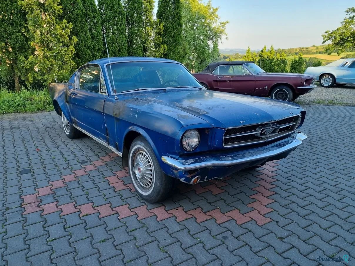 1965' Ford Mustang photo #1