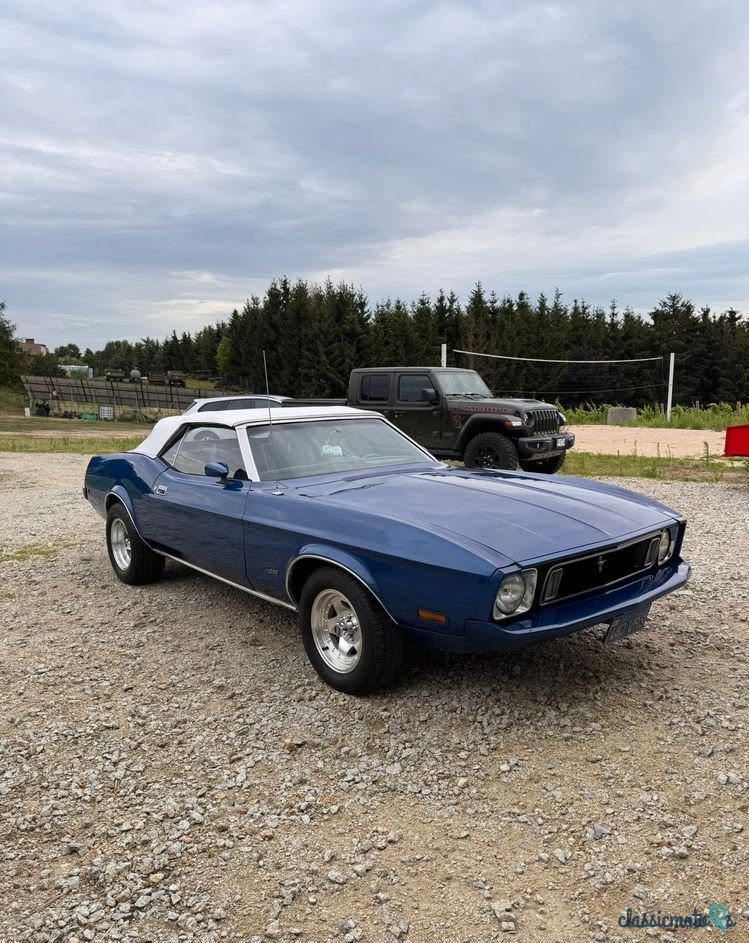 1973' Ford Mustang photo #6
