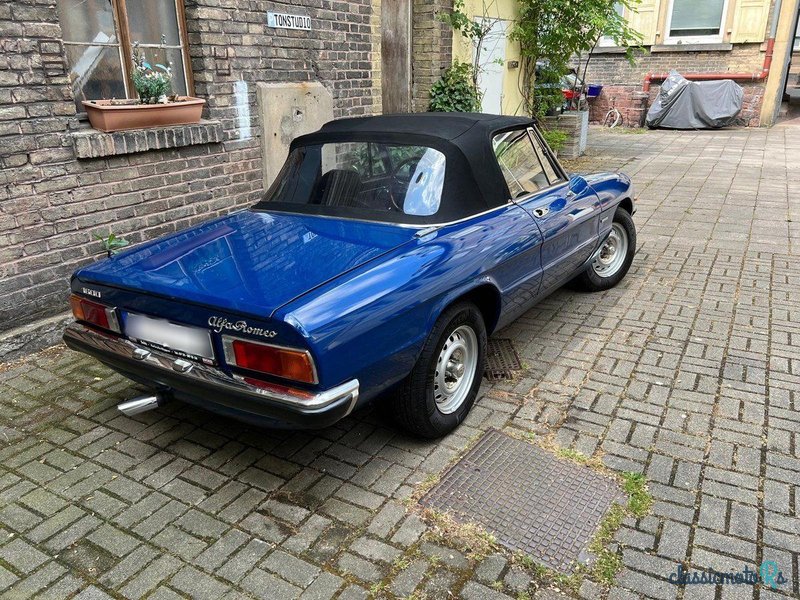 1981' Alfa Romeo Spider photo #6